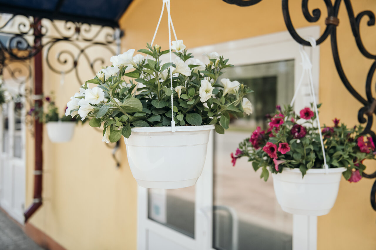 Гостиница Двина Великий Устюг-26